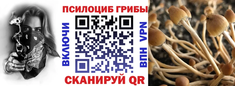 OMG рабочий сайт  Карабаш  Галлюциногенные грибы Psilocybine cubensis 